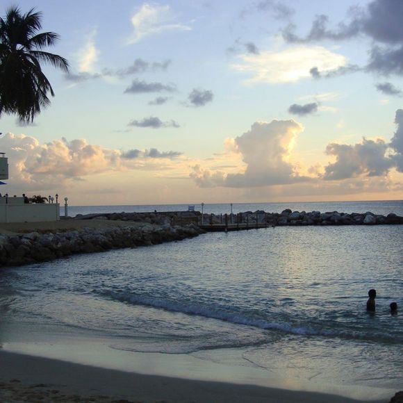 Meet your Posher, Craig - Picture 1 of 1